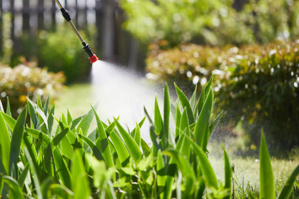 24/7 Emergency Ant Control experts in Stevenson, AL
